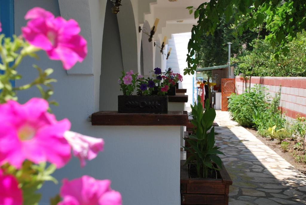 Myra Hotel Dalyan Eksteriør bilde
